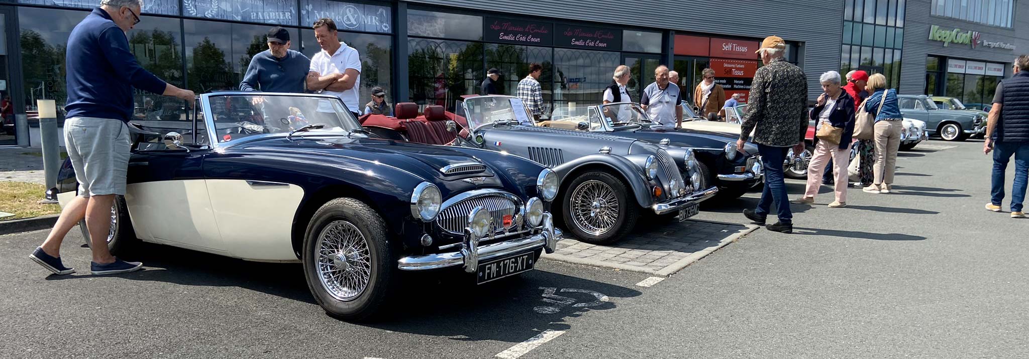 Austin Healey, Morgan et MG au rasso Pôle Collection