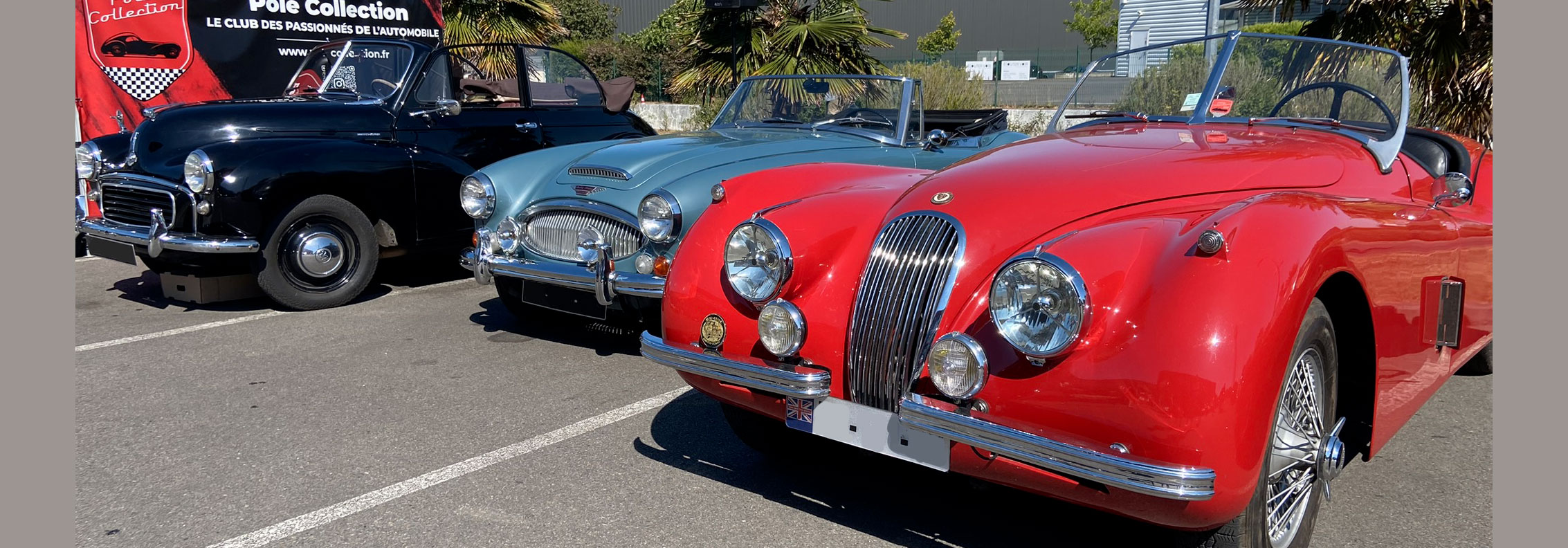 Jaguar XK au rassemblement Pôle Collection de juillet 2025