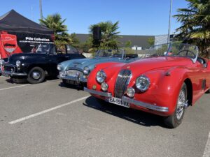 Jaguar XK au rassemblement Pôle Collection de juillet 2025